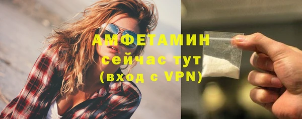дживик Елабуга