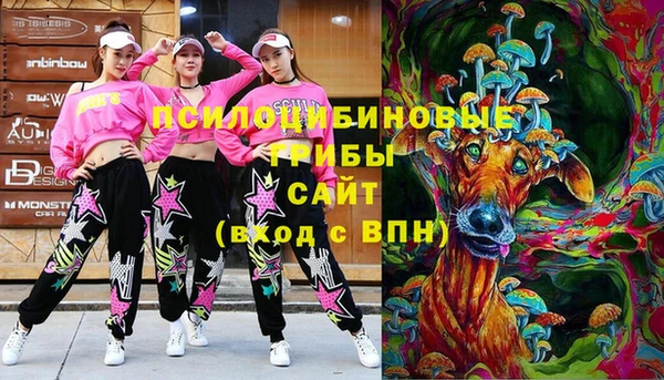 дживик Елабуга
