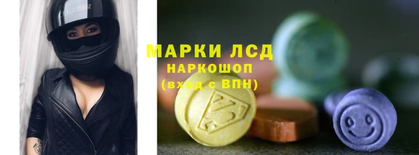 дживик Елабуга