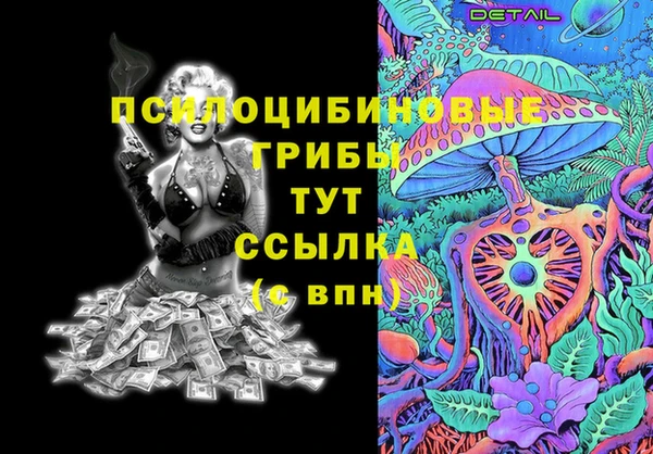 дживик Елабуга