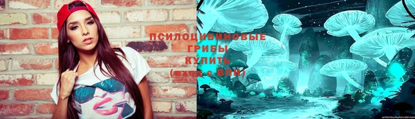 дживик Елабуга