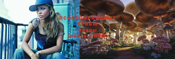 кокаин премиум Елизово